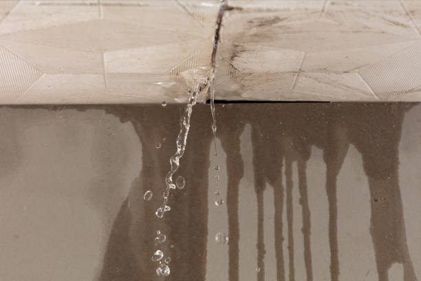 Professional Burst Pipe Cleanup technician working in Elwood, UT